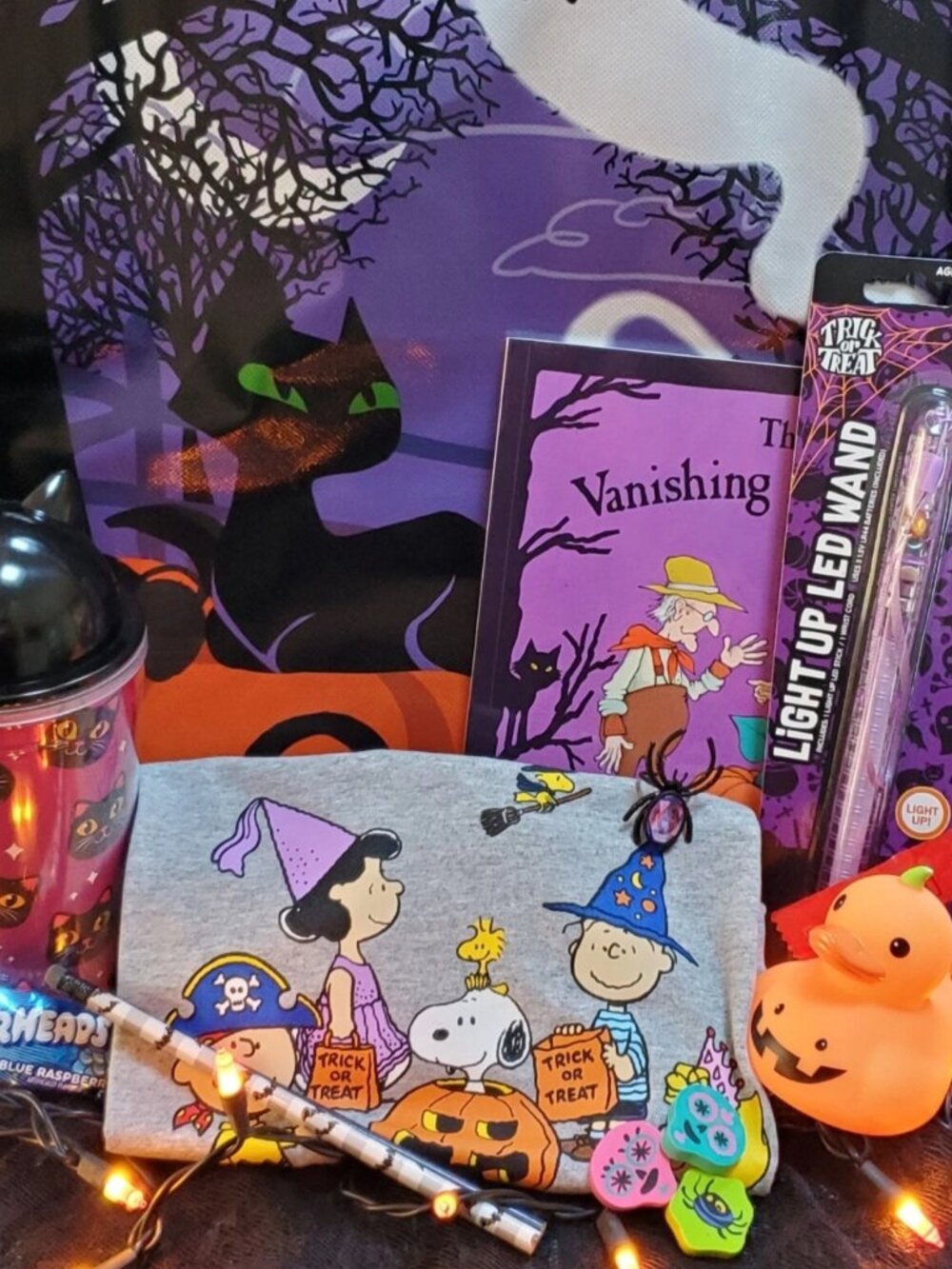 Halloween Gift Bag for Girls  Peanuts Halloween Gift Bundle for Girls